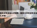 高校涉外法治人才招聘（哪些大学开涉外法治人才班）