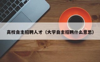 高校自主招聘人才（大学自主招聘什么意思）