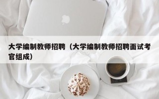 大学编制教师招聘（大学编制教师招聘面试考官组成）