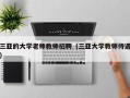 三亚的大学老师教师招聘（三亚大学教师待遇）