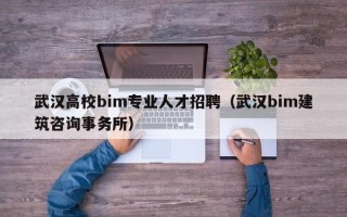 武汉高校bim专业人才招聘（武汉bim建筑咨询事务所）