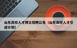 山东高校人才博士招聘公告（山东高校人才引进计划）