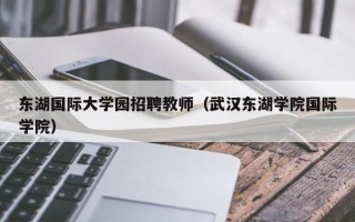 东湖国际大学园招聘教师（武汉东湖学院国际学院）