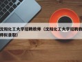 沈阳化工大学招聘教师（沈阳化工大学招聘教师拟录取）