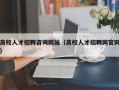 高校人才招聘咨询网站（高校人才招聘网官网）