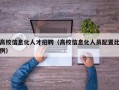 高校信息化人才招聘（高校信息化人员配置比例）