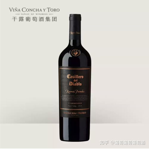 智利葡萄酒品牌（智利红酒品牌排行榜：十大佳酿引领品味之旅）