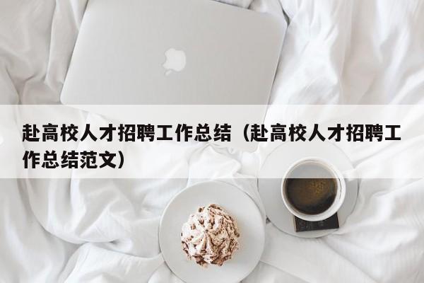 赴高校人才招聘工作总结（赴高校人才招聘工作总结范文）-第1张图片-大学教师招聘