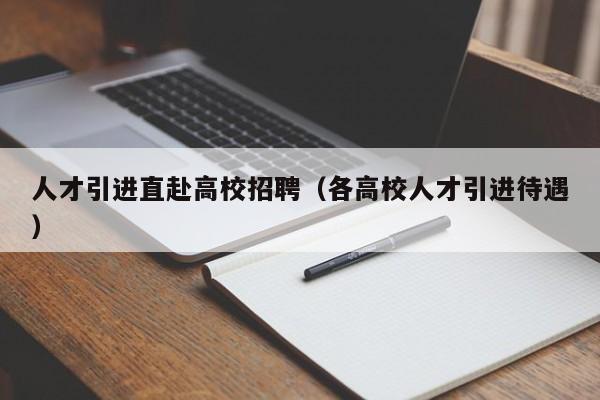 人才引进直赴高校招聘（各高校人才引进待遇）-第1张图片-大学教师招聘