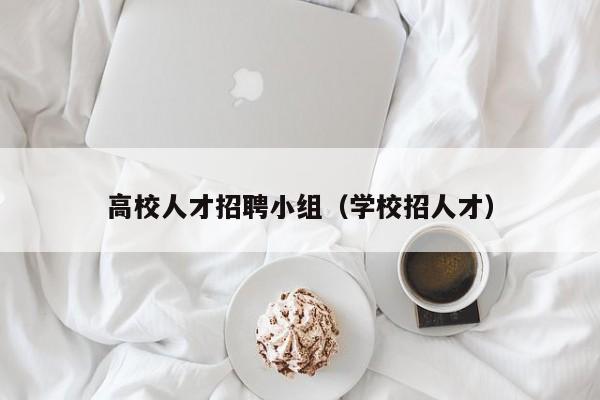 高校人才招聘小组（学校招人才）-第1张图片-大学教师招聘